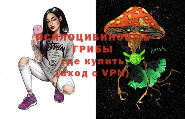 трава Армянск