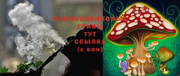 шишки Каменск-Шахтинский