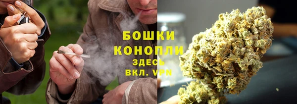 трава Армянск
